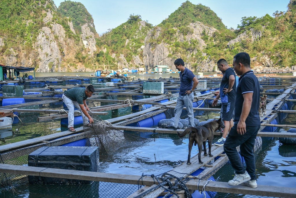 Quảng Ninh: Doanh nghiệp phục hồi mạnh mẽ sau bão Yagi nhờ các gói vay ưu đãi- Ảnh 3.