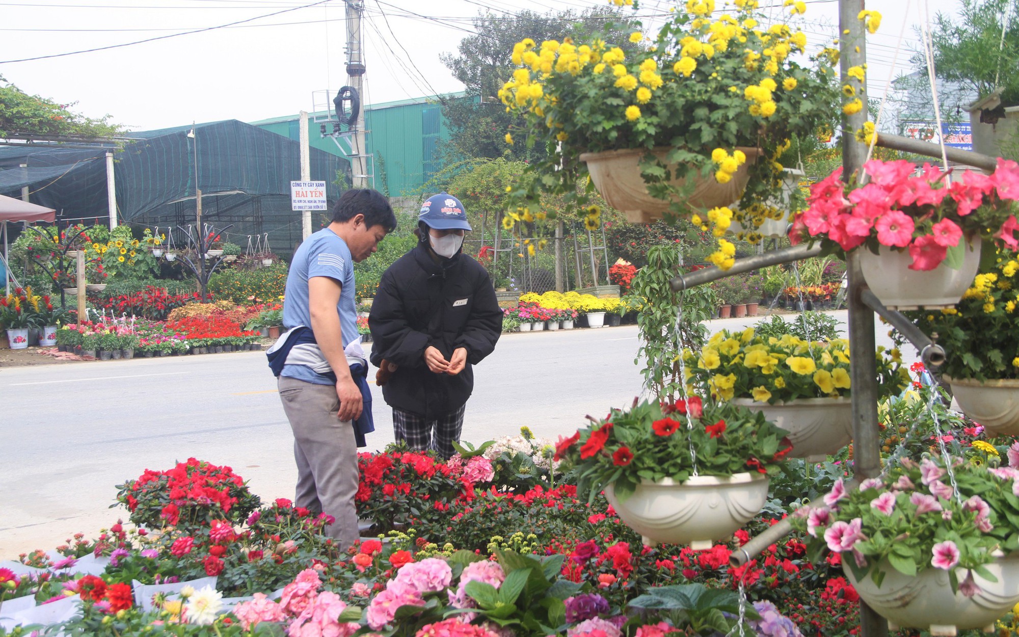 Đặc sản Lạng Sơn, núc nác, loại quả dại dài đuồn đuỗn này trộn nộm thơm nức, cả làng khen ngon - Ảnh 2.