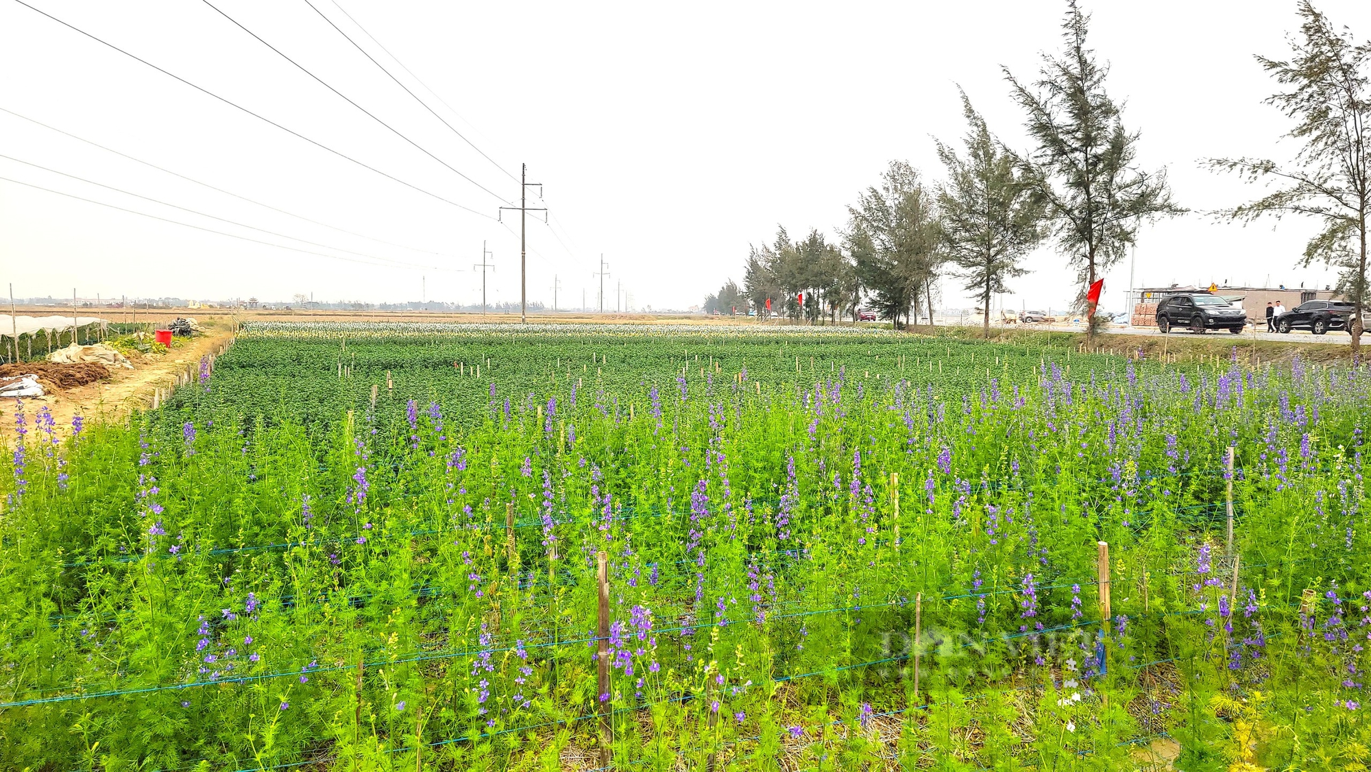 Lãnh đạo Hội Nông dân tỉnh Hải Dương thăm mô hình nông nghiệp tiêu biểu tại huyện Nam Sách - Ảnh 2.