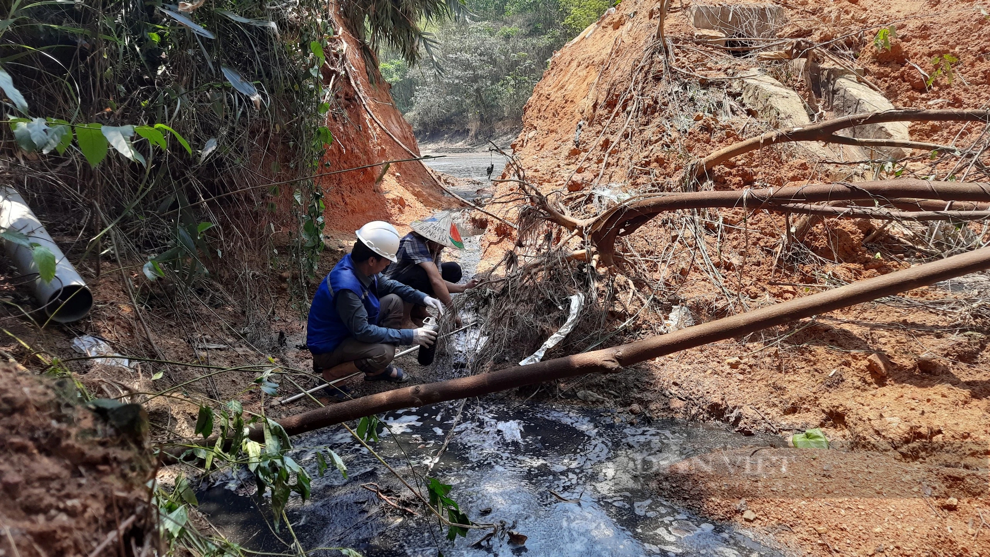 Trang trại chăn nuôi lợn gây ô nhiễm ở Quảng Trị: Cần “đại giải phẫu”- Ảnh 4.