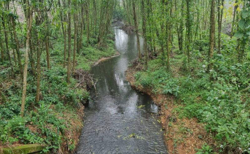 Trang trại chăn nuôi lợn gây ô nhiễm ở Quảng Trị: Cần “đại giải phẫu”- Ảnh 1.