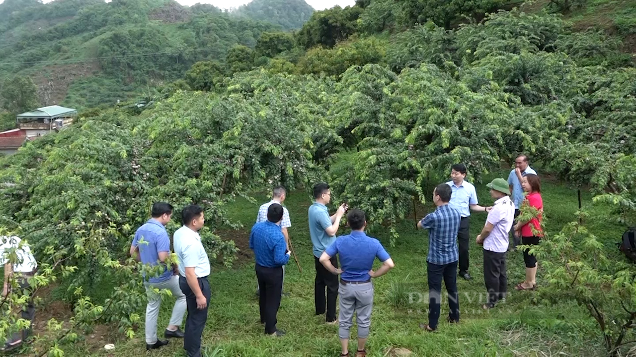 Chương trình xây dựng nông thôn mới đi vào cuộc sống, hình thành nên vùng quê đáng sống nơi biên giới - Ảnh 7.