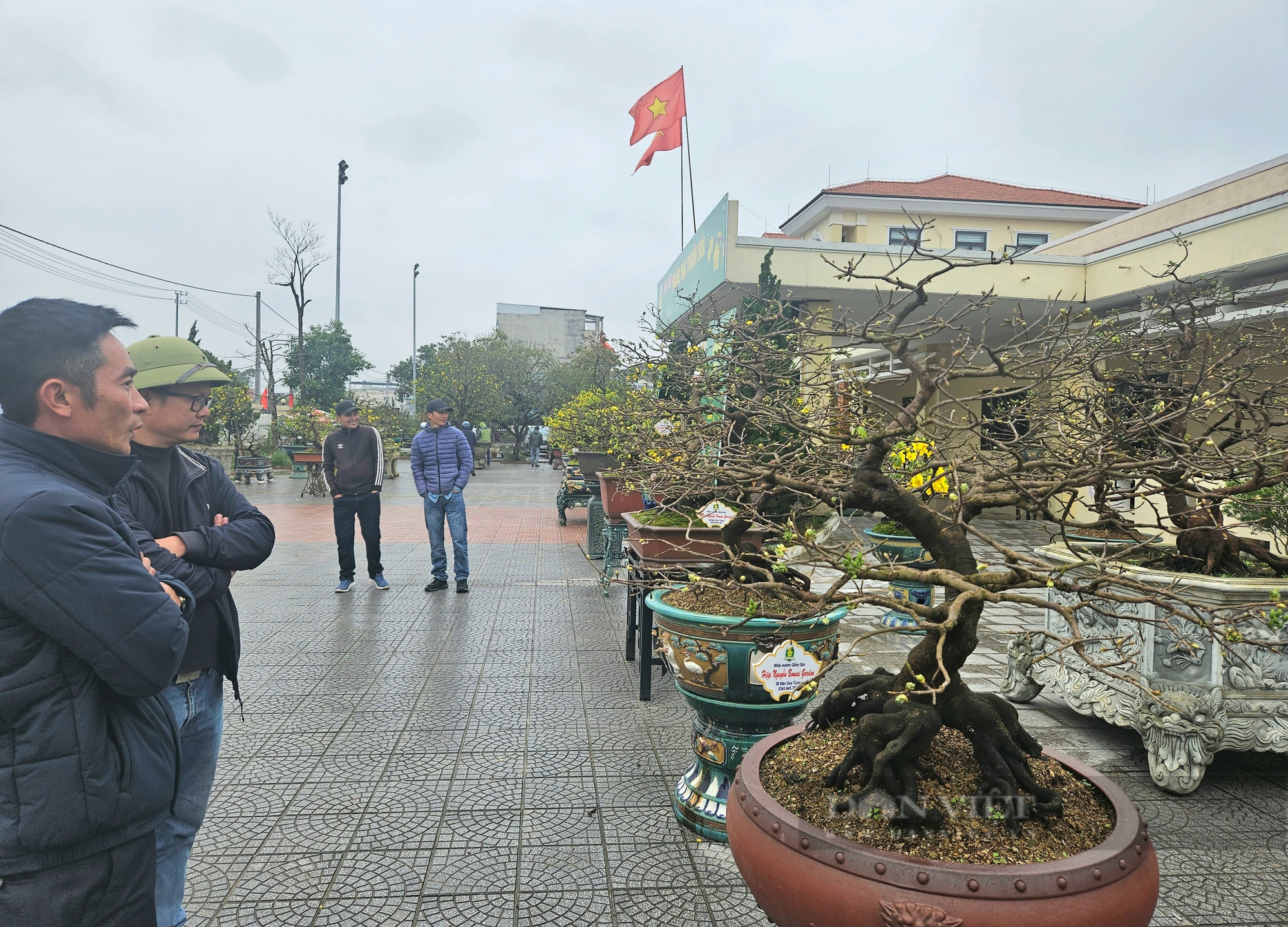 Một phiên chợ mai ở Huế, toàn cây có thế "độc, lạ", nhiều người trả giá hàng trăm triệu để mua đứt - Ảnh 5.