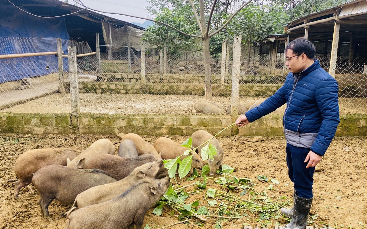 Chưa từng có: Một người dân Quảng Trị câu được con cá chình dài tới 1,2m, nặng 14kg - Ảnh 3.