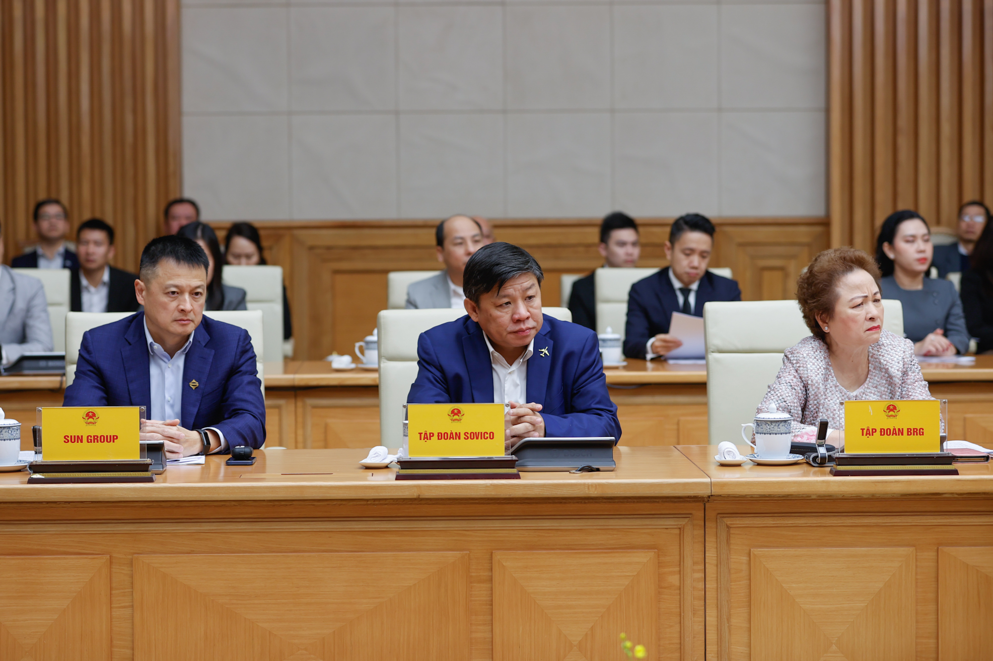 Tỷ phú Trần Bá Dương hứa gì với Thủ tướng khi tham gia làm đường sắt đô thị? - Ảnh 2.