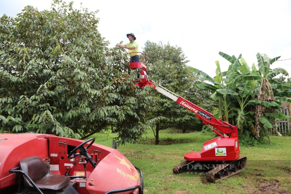 “Số hóa” cho cây, trái… 3 anh nông dân trẻ ở Bình Phước “lột xác” thành ông chủ - Ảnh 9.