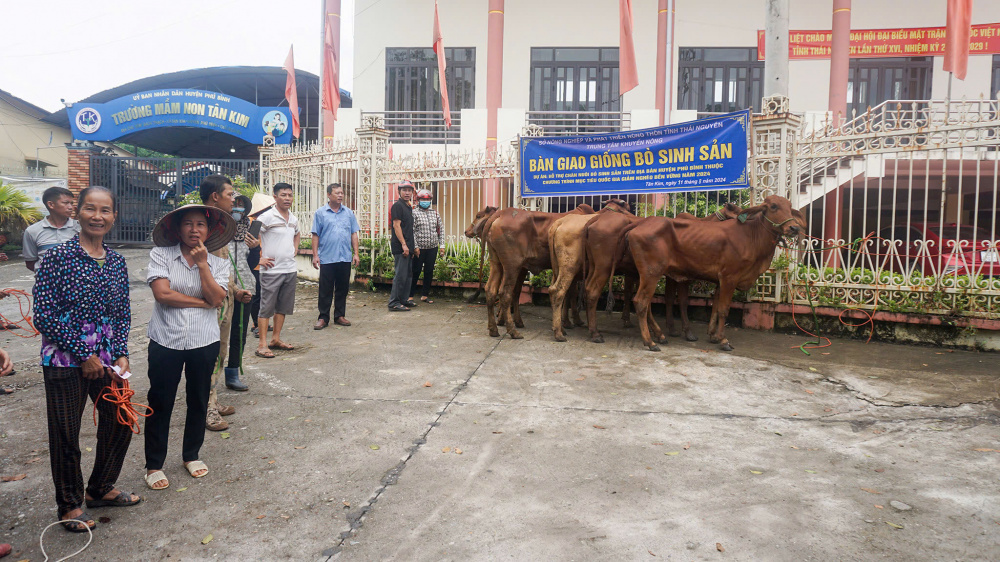 Huyện Phú Bình trao sinh kế, đa dạng các mô hình giảm nghèo giúp người dân ổn định cuộc sống - Ảnh 1.