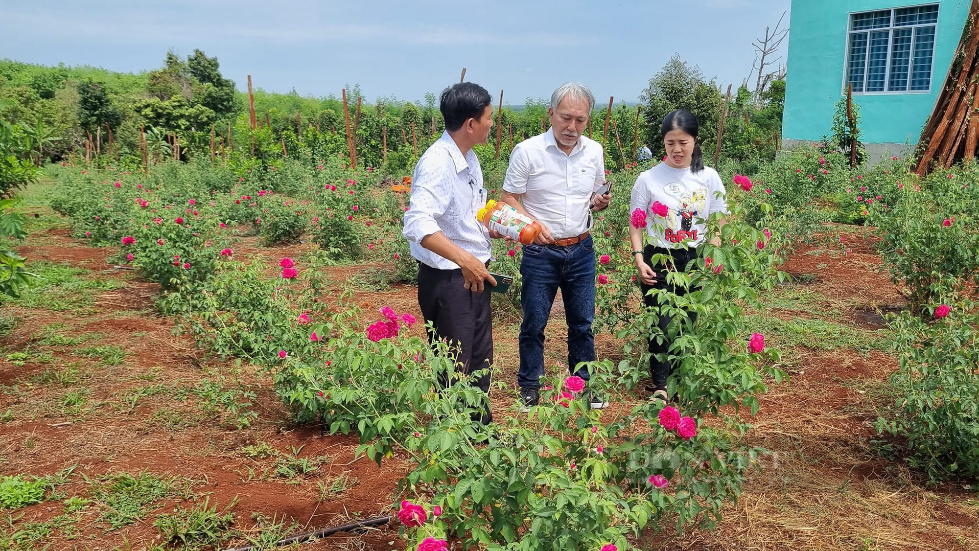 “Số hóa” cho cây, trái… 3 anh nông dân trẻ ở Bình Phước “lột xác” thành ông chủ - Ảnh 7.