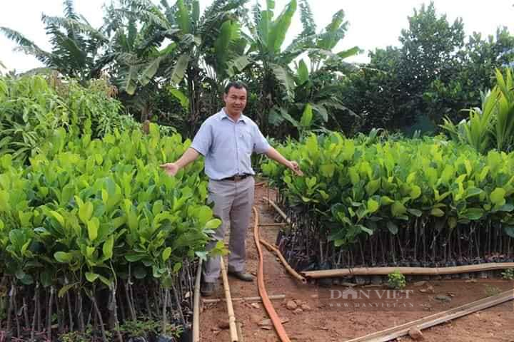 “Số hóa” cho cây, trái… 3 anh nông dân trẻ ở Bình Phước “lột xác” thành ông chủ - Ảnh 4.