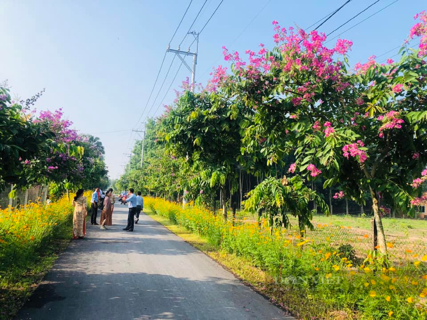 Củ Chi triển khai nhiều mô hình giảm nghèo hiệu quả - Ảnh 4.