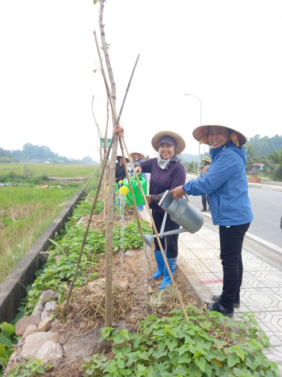 Chi Hội trưởng nông dân một tổ dân phố ở Hải Phòng có cách gì để "hạ nhiệt điểm nóng" rác thải?- Ảnh 4.