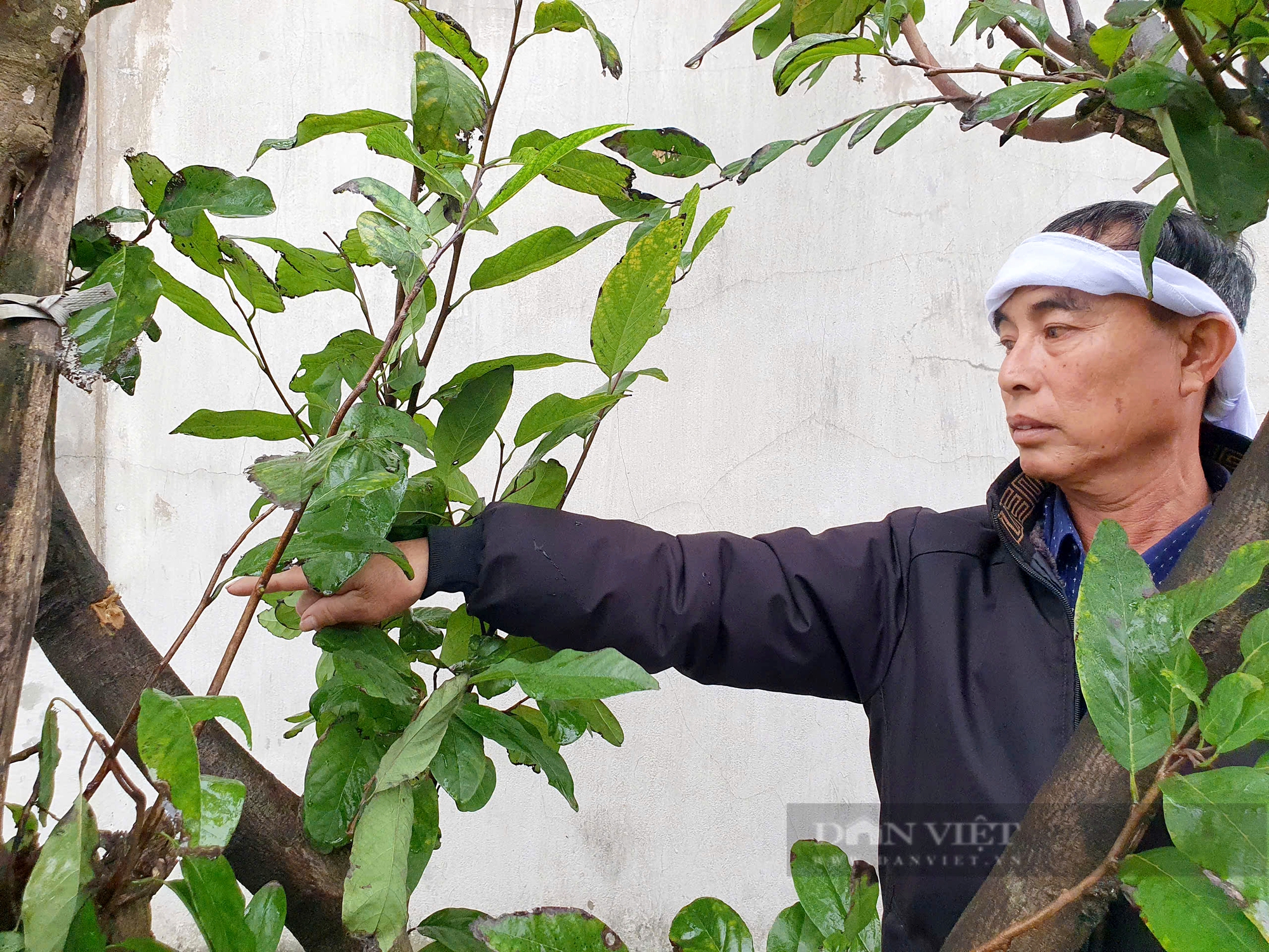 Vụ nam thanh niên trúng đạn tử vong tại nhà: Những vết nghi đạn bắn tại hiện trường- Ảnh 8.