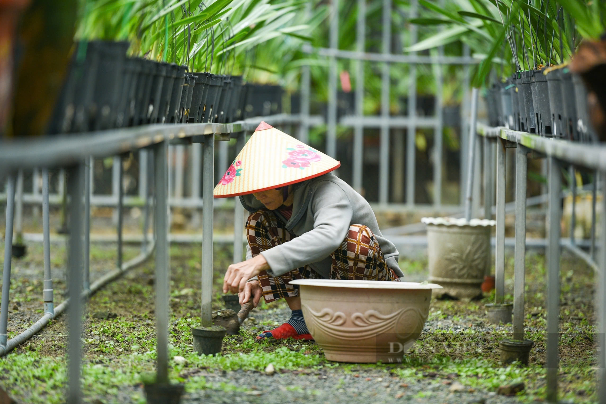 Nông nghiệp chuyển đổi số để vươn mình trong kỷ nguyên mới - Ảnh 25.