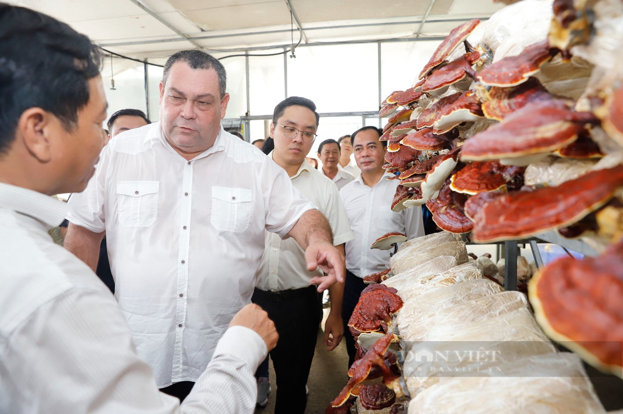 Nông nghiệp chuyển đổi số để vươn mình trong kỷ nguyên mới - Ảnh 5.