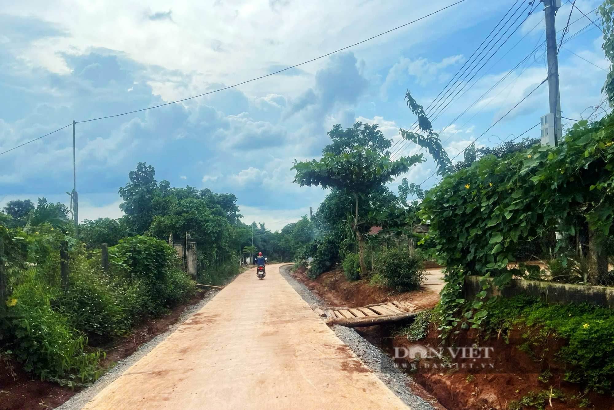 Chủ tịch Hội Nông dân xã ở Đắk Lắk xây dựng mô hình giúp hàng trăm nông dân làm giàu - Ảnh 6.