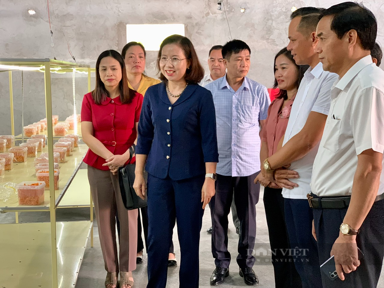 Tỷ phú Nam Định, ở bên Cồn có 2 tỷ phú nông dân là người trồng cây treo dây, nuôi ốc hương đặc sản - Ảnh 2.