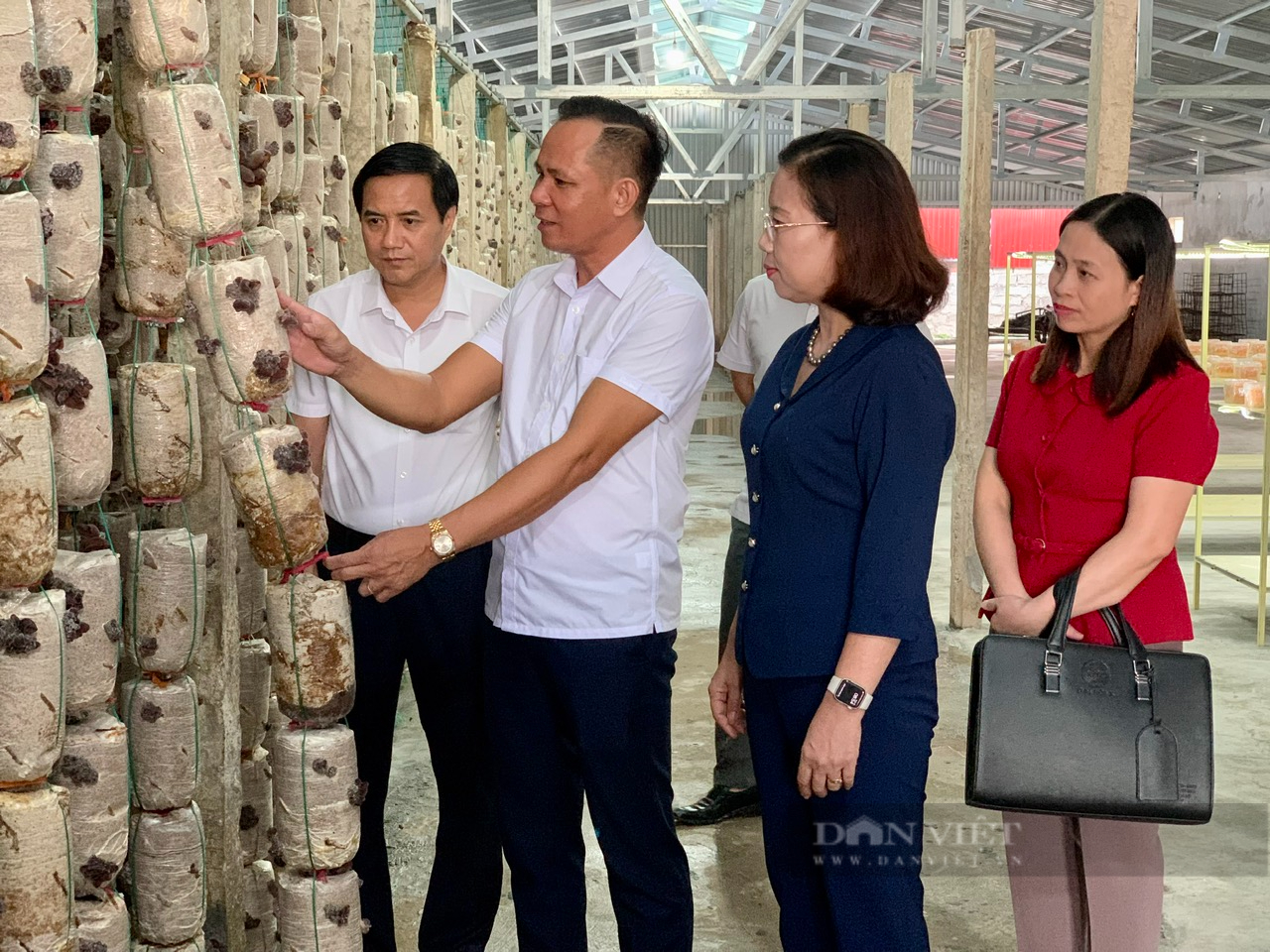 Tỷ phú Nam Định, ở bên Cồn có 2 tỷ phú nông dân là người trồng cây treo dây, nuôi ốc hương đặc sản - Ảnh 1.