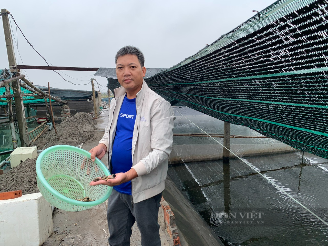 Tỷ phú Nam Định, ở bên Cồn có 2 tỷ phú nông dân là người trồng cây treo dây, nuôi ốc hương đặc sản - Ảnh 3.