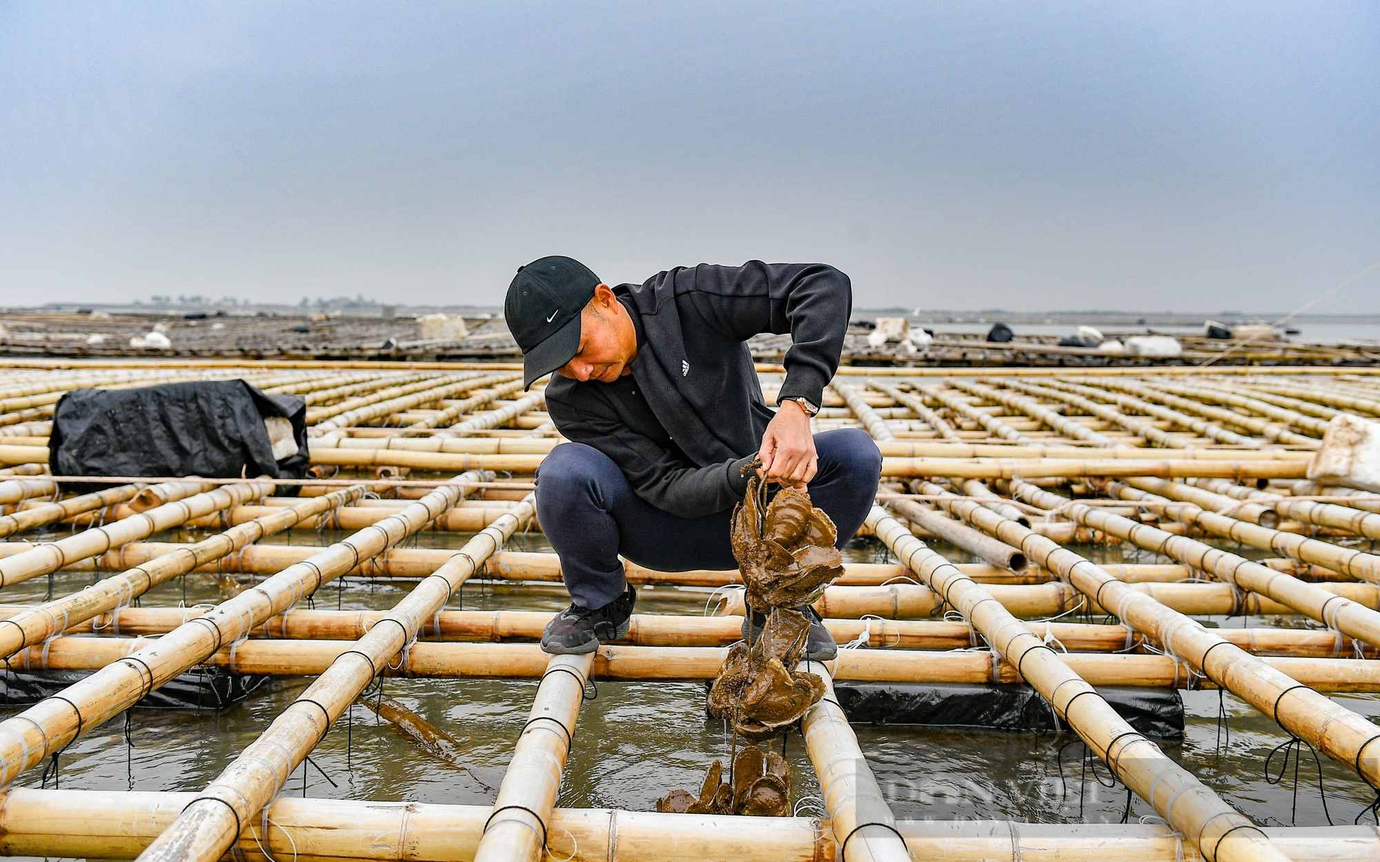 Tỷ phú Nam Định, ở bên Cồn có 2 ông nông dân giàu, ông trồng "rau đặc sản", ông nuôi ốc đặc sản - Ảnh 7.