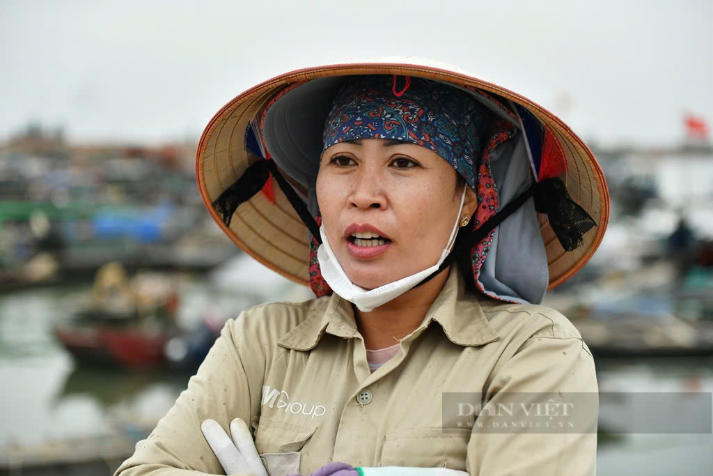 Vụ tranh chấp bè hàu ở Quảng Ninh:  Thấy hàu to béo đến nhận là của mình? - Ảnh 1.