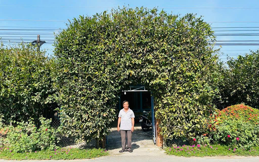 Đại gia Sài Gòn là ông nông dân nuôi cá quý tộc, mở điểm du lịch, khách lớn, khách nhỏ đang vào xem - Ảnh 4.