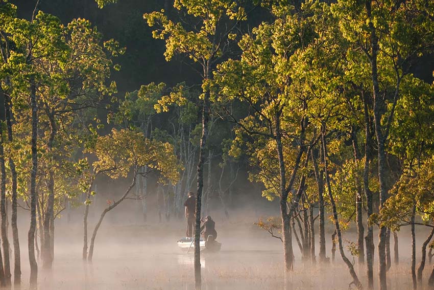 Rời thành phố sầm uất về sống ở xứ “sương mù mây giăng”, cô gái gen Z bị hấp dẫn bởi vẻ liêu trai này - Ảnh 10.