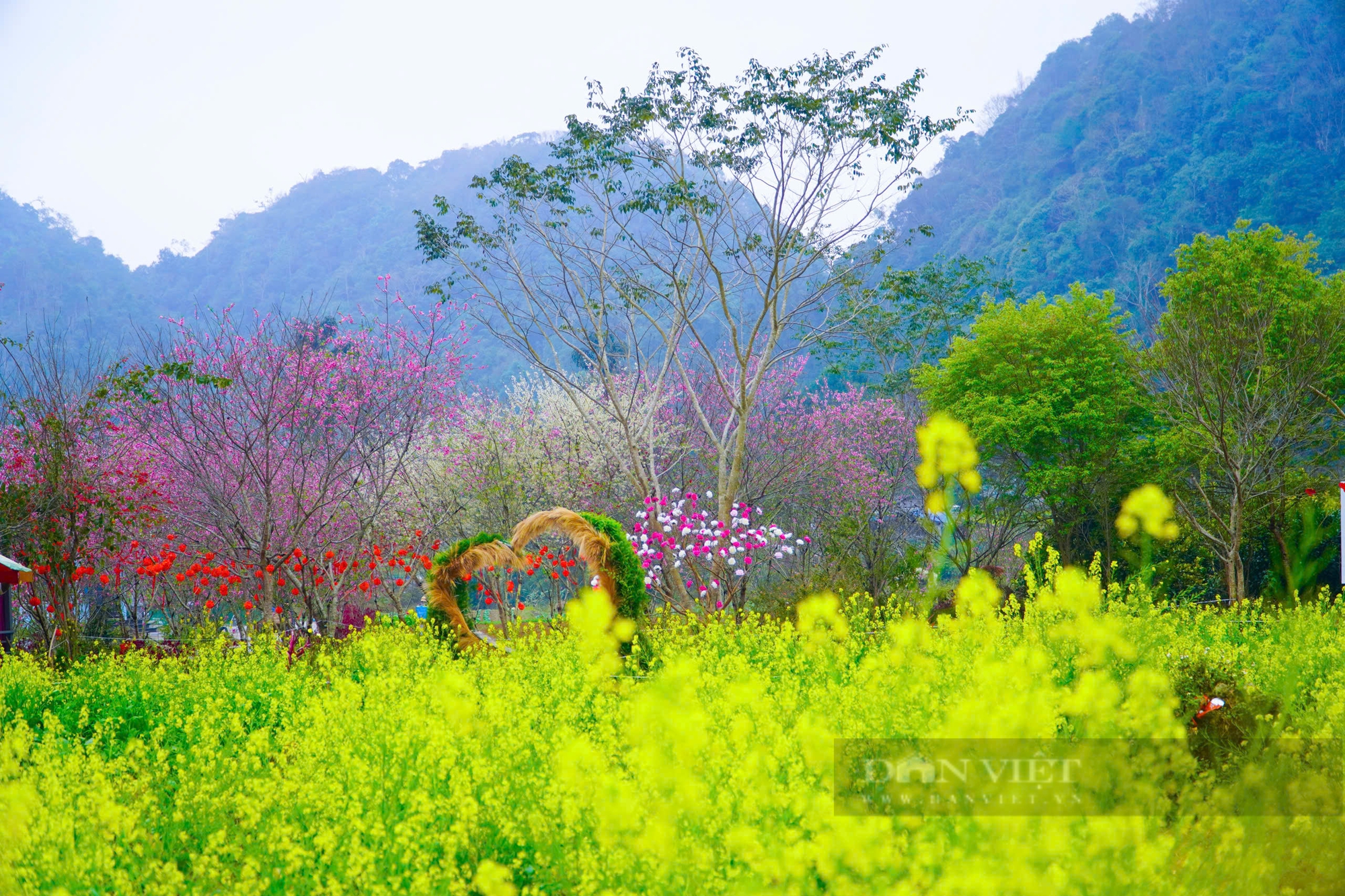 Hà Giang - nơi đẹp nhất vào mùa xuân - Ảnh 2.