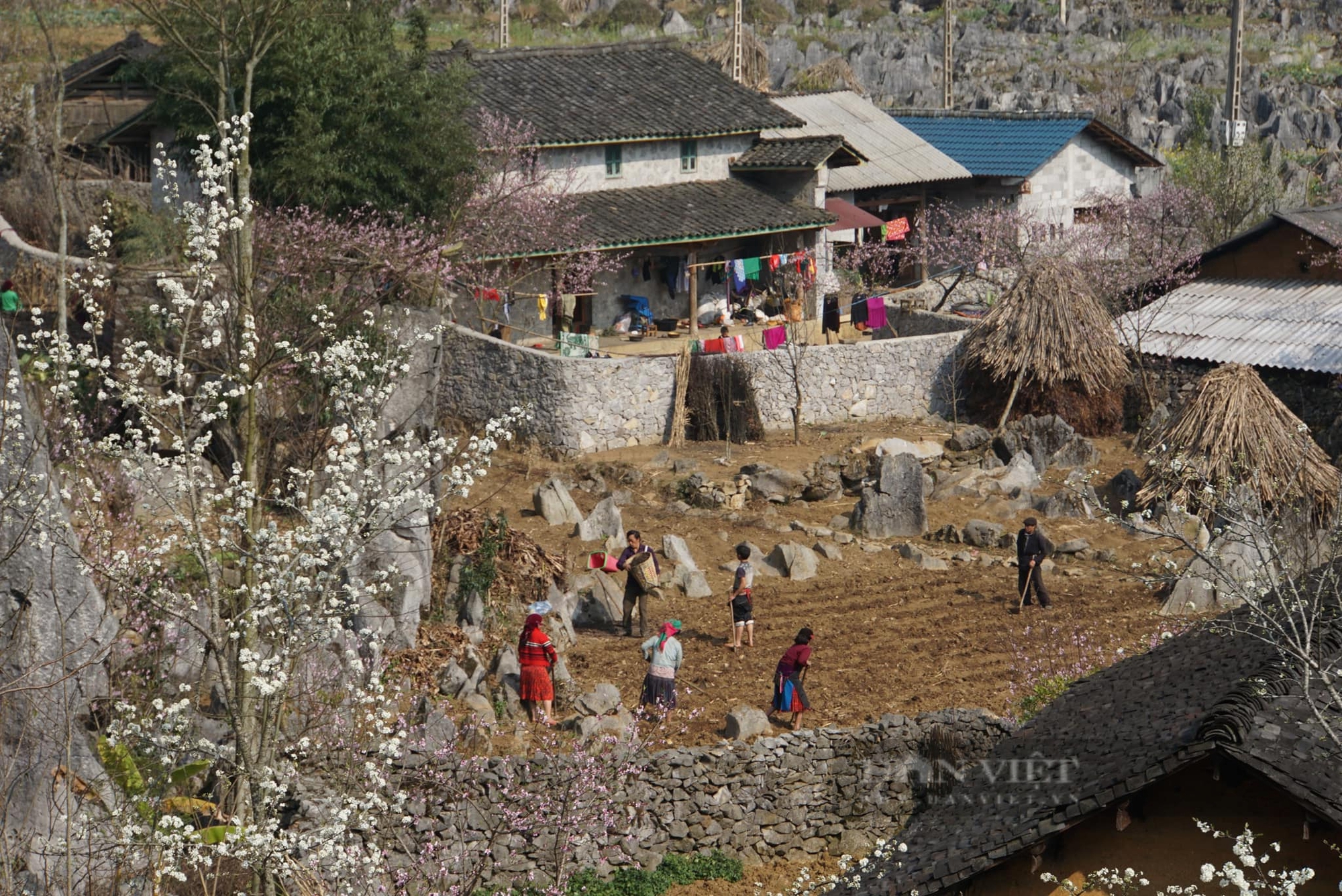 Hà Giang - nơi đẹp nhất vào mùa xuân - Ảnh 7.