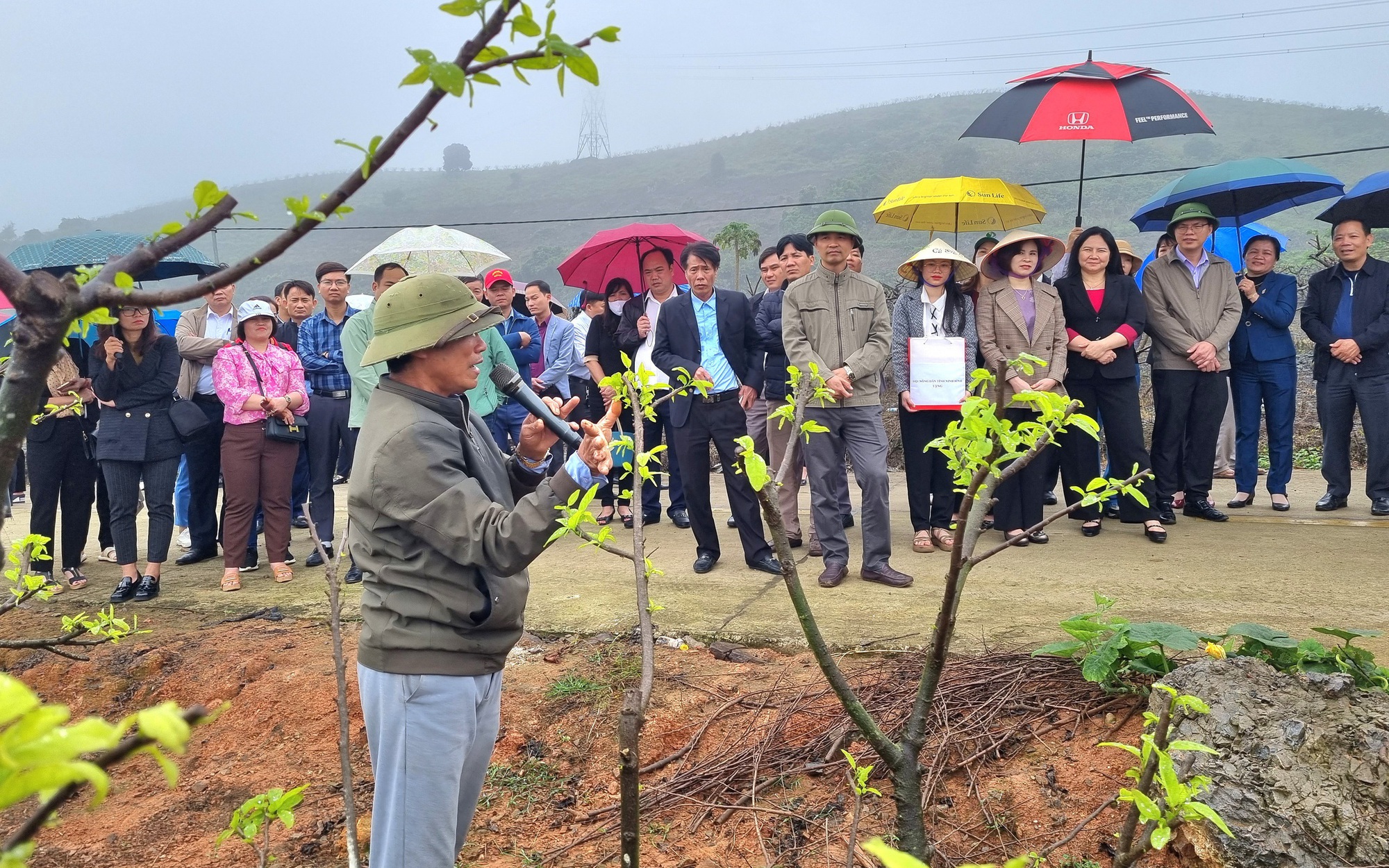 "Một quy định hình thức "dạy" doanh nghiệp nói dối, gây lãng phí hàng trăm nghìn tỷ đồng" - Ảnh 6.