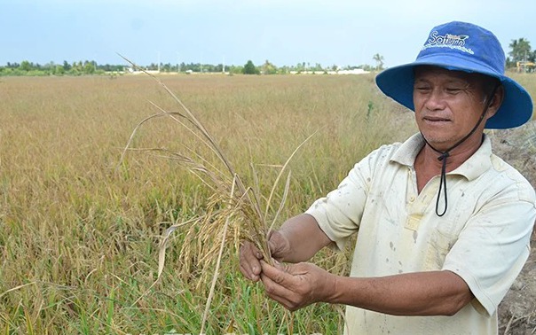 "Một quy định hình thức "dạy" doanh nghiệp nói dối, gây lãng phí hàng trăm nghìn tỷ đồng" - Ảnh 2.