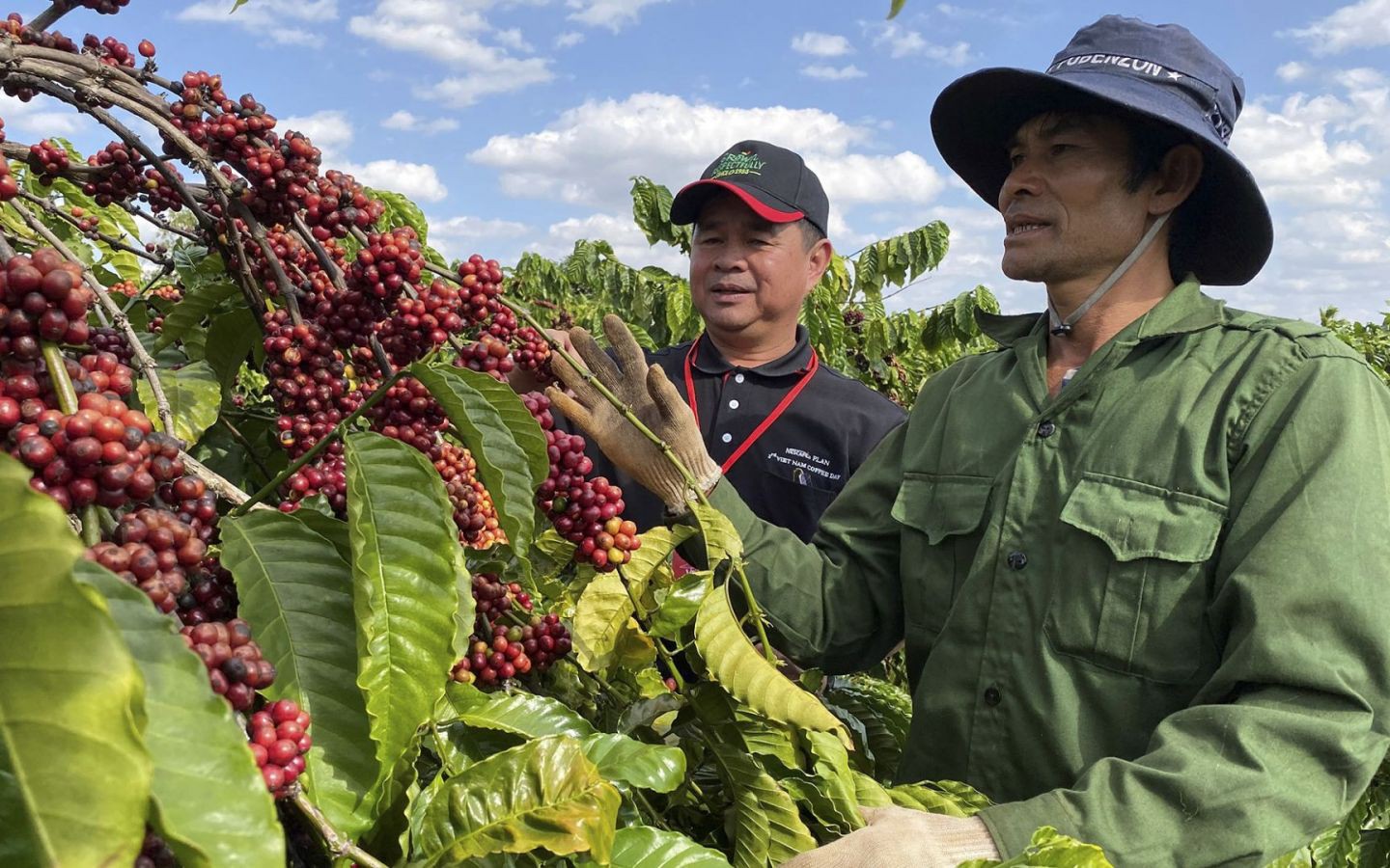 "Một quy định hình thức "dạy" doanh nghiệp nói dối, gây lãng phí hàng trăm nghìn tỷ đồng" - Ảnh 5.