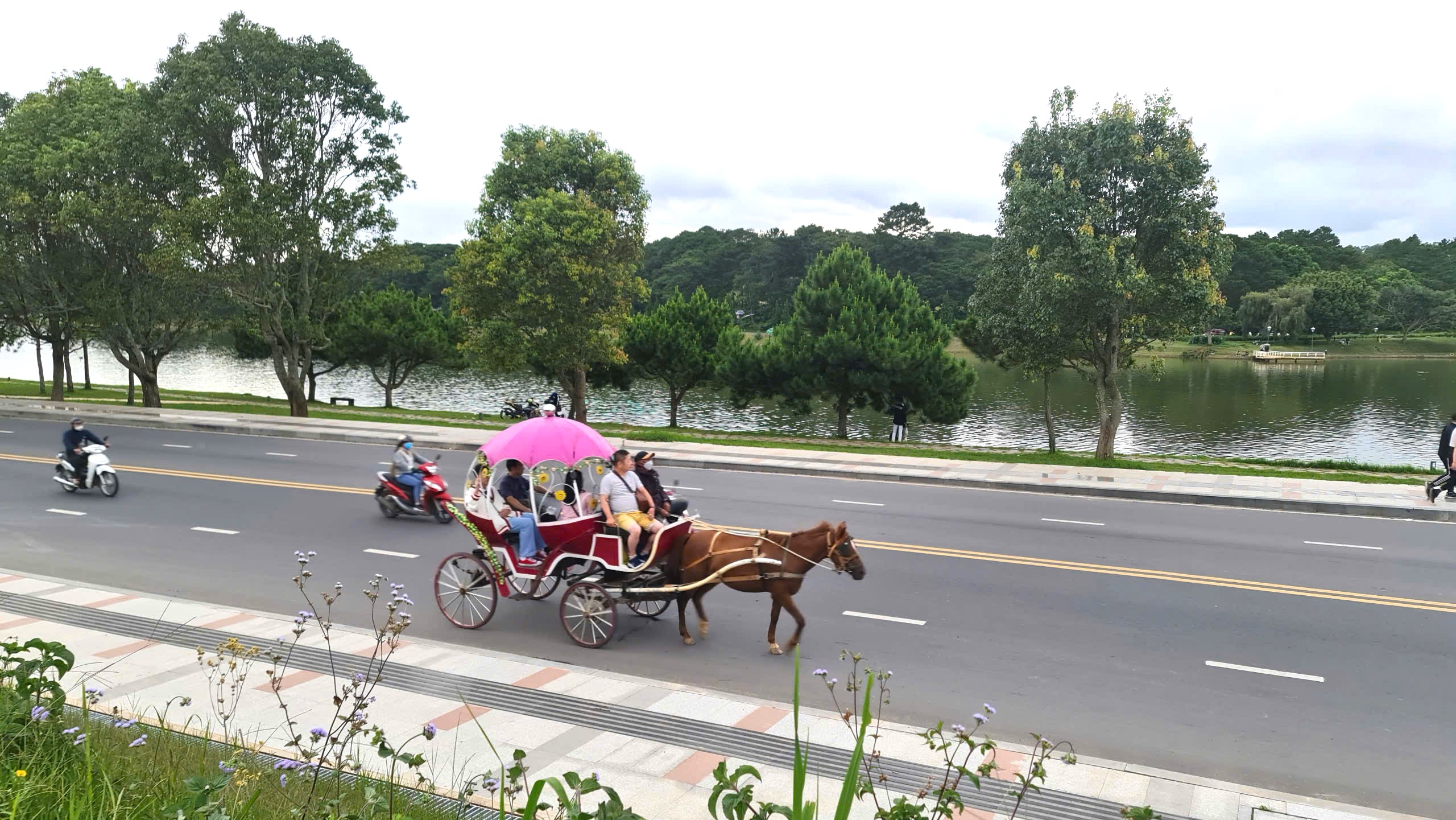 Vì sao xe ngựa chở du khách tại hồ Xuân Hương ở TP.Đà Lạt phải ngừng hoạt động?- Ảnh 1.