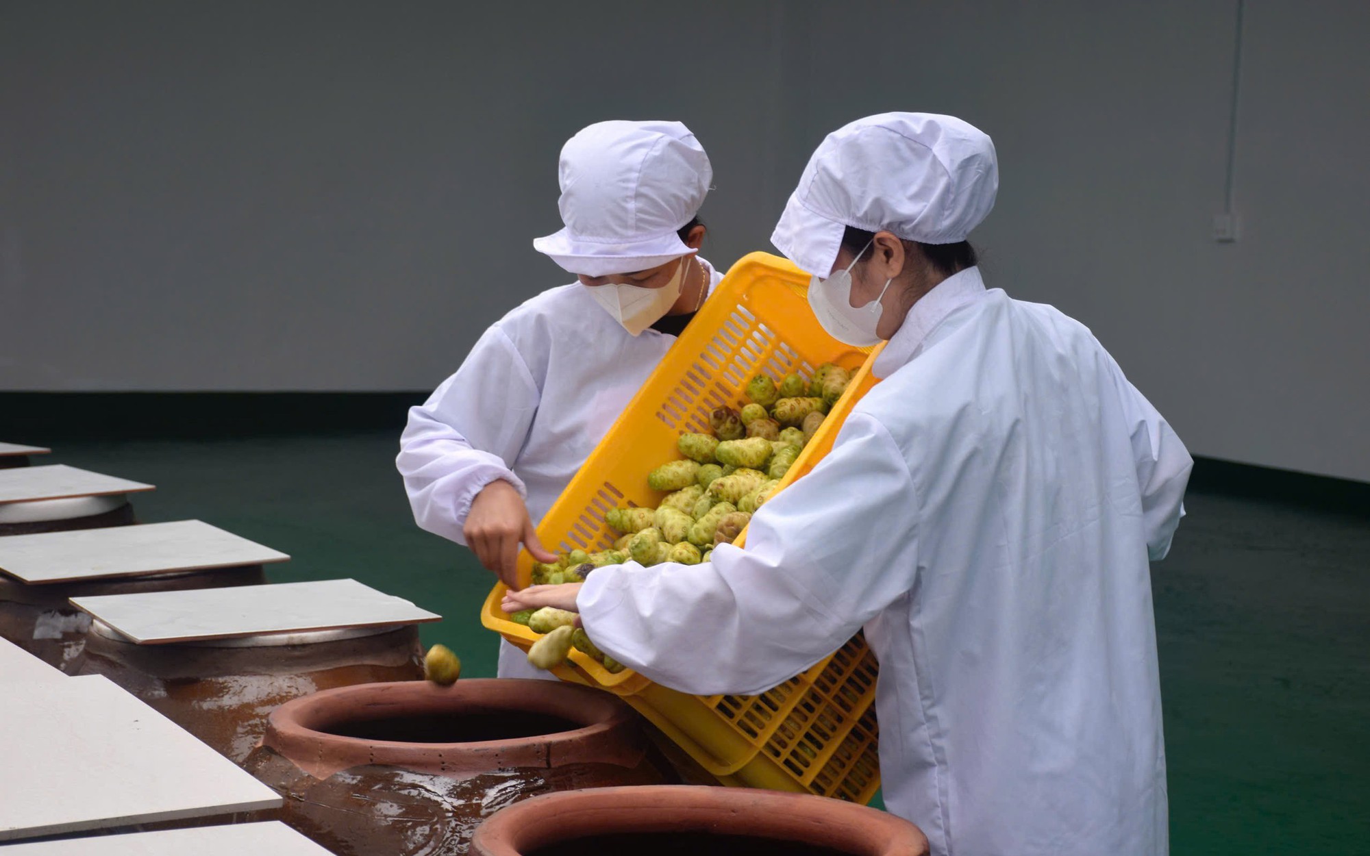 La liệt hoa lan đột biến 5 cánh trắng, gà cảnh giá hàng chục triệu/con trưng bày ở Phú Thọ - Ảnh 10.