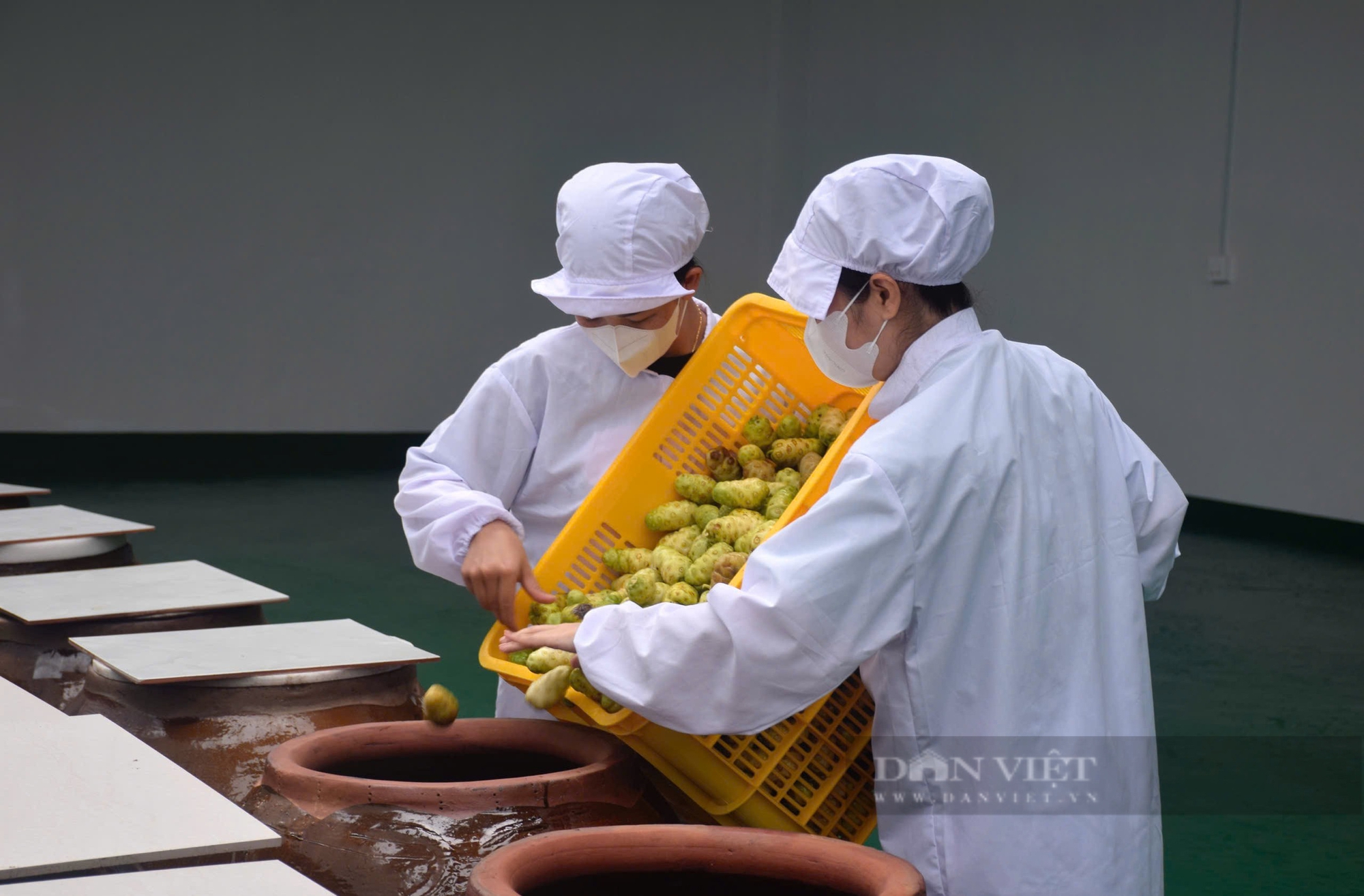 Trồng loại cây một thời bị bỏ đi, anh nông dân Cà Mau làm ra sản phẩm giàu dinh dưỡng đạt chứng nhận 4 sao - Ảnh 2.