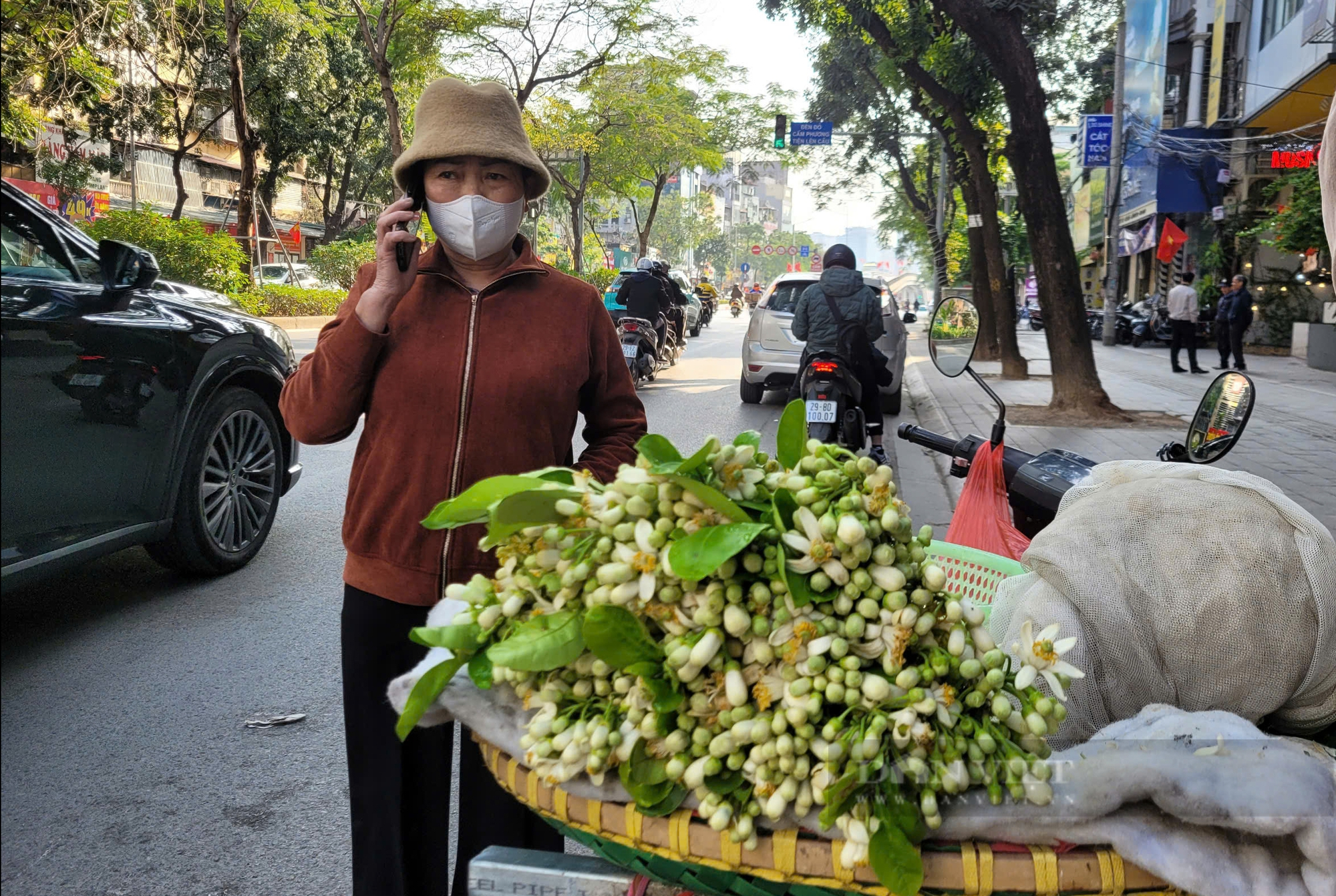 Chán đào quất, người Hà Nội 