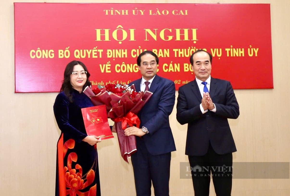 Lào Cai có tân Bí thư thành uỷ - Ảnh 2.