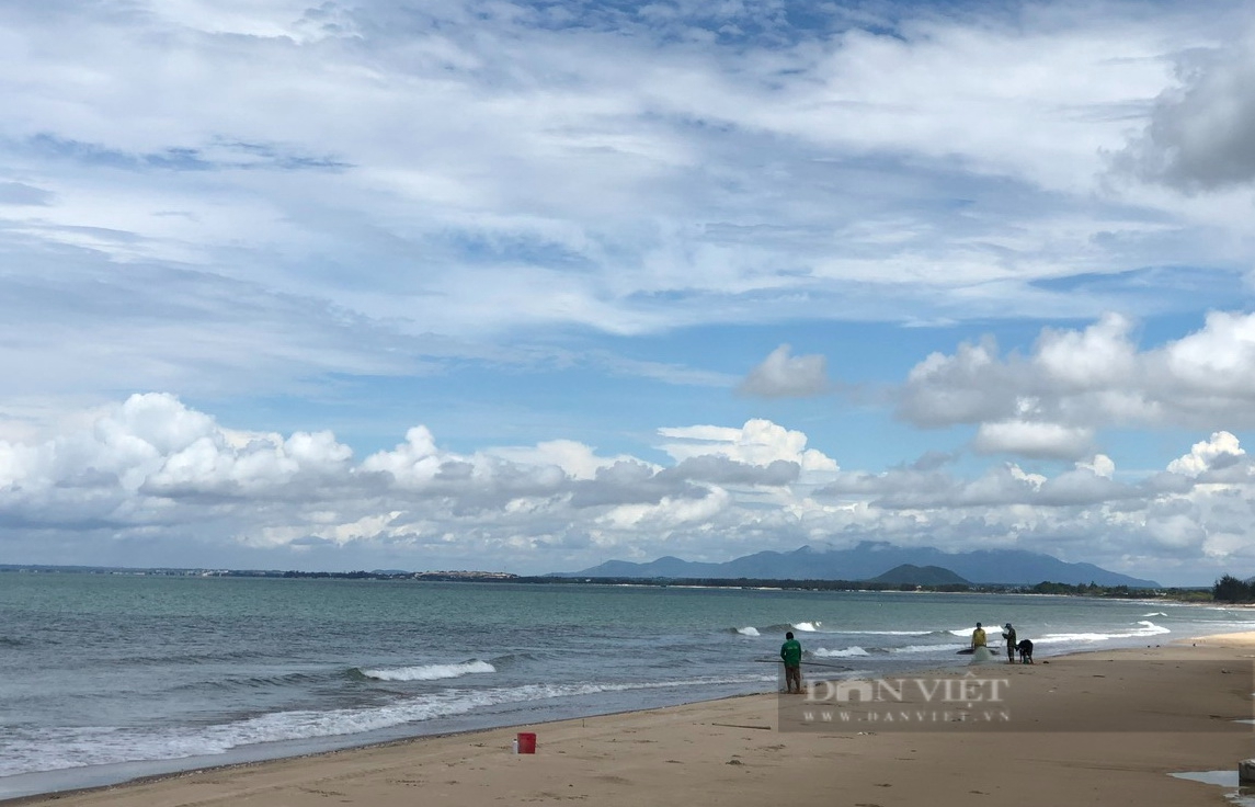 doanh nghiệp đề xuất đầu tư tàu chế biến hải sản trên vùng biển Bình Thuận- Ảnh 1.