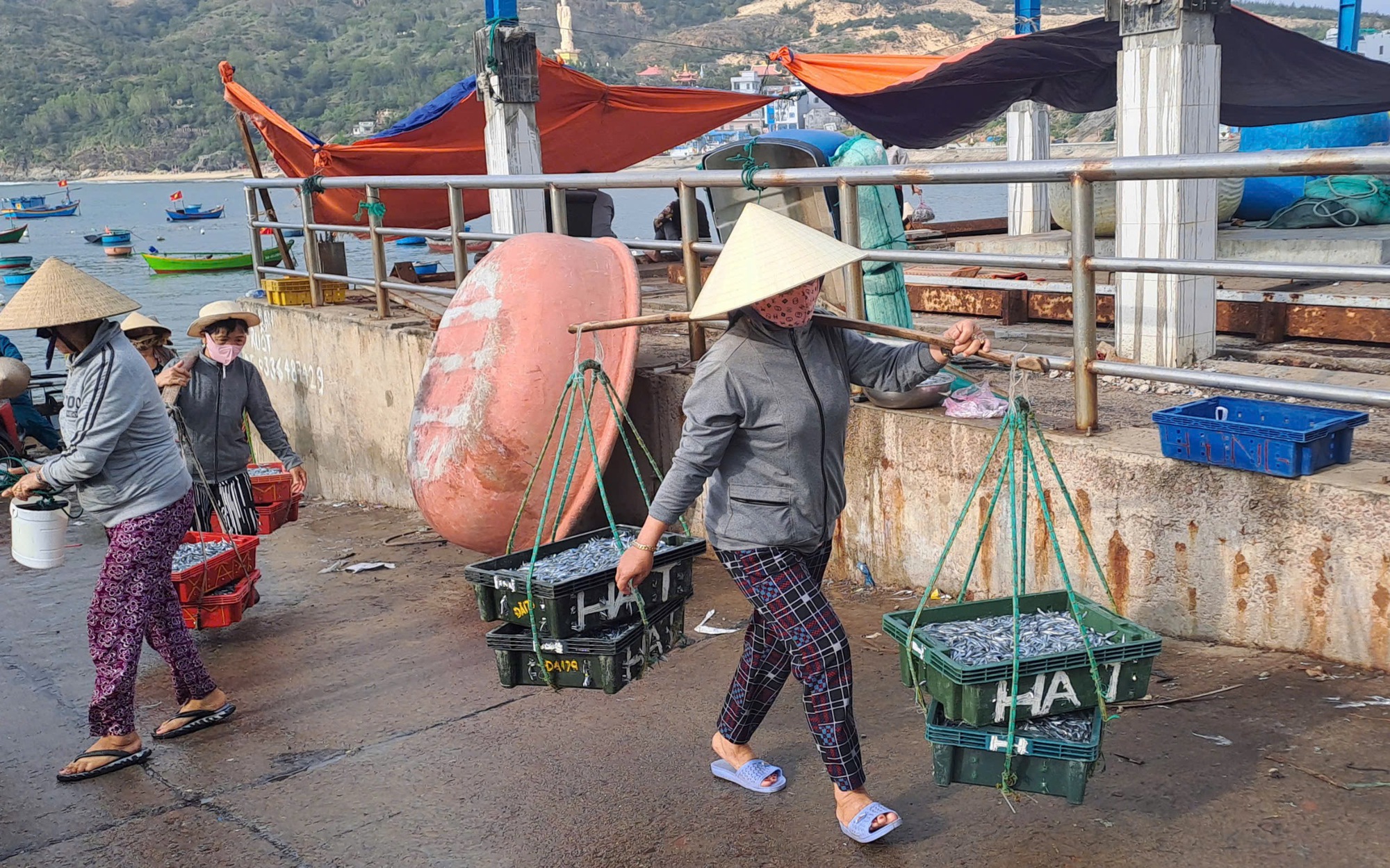 Vây lưới "trúng" mẻ cá cơm tươi roi rói, ngư dân vui vì có tiền, cười nói rôm rả, xôn xao cả làng- Ảnh 18.