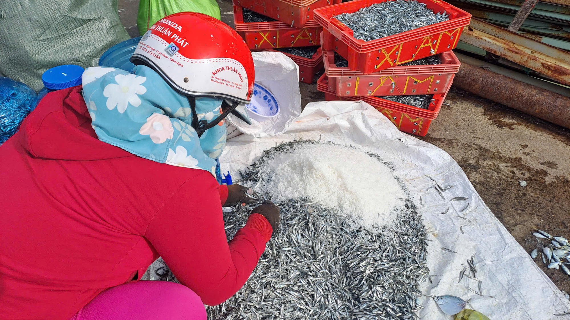 Vây lưới "trúng" mẻ cá cơm tươi roi rói, ngư dân vui vì có tiền, cười nói rôm rả, xôn xao cả làng- Ảnh 14.