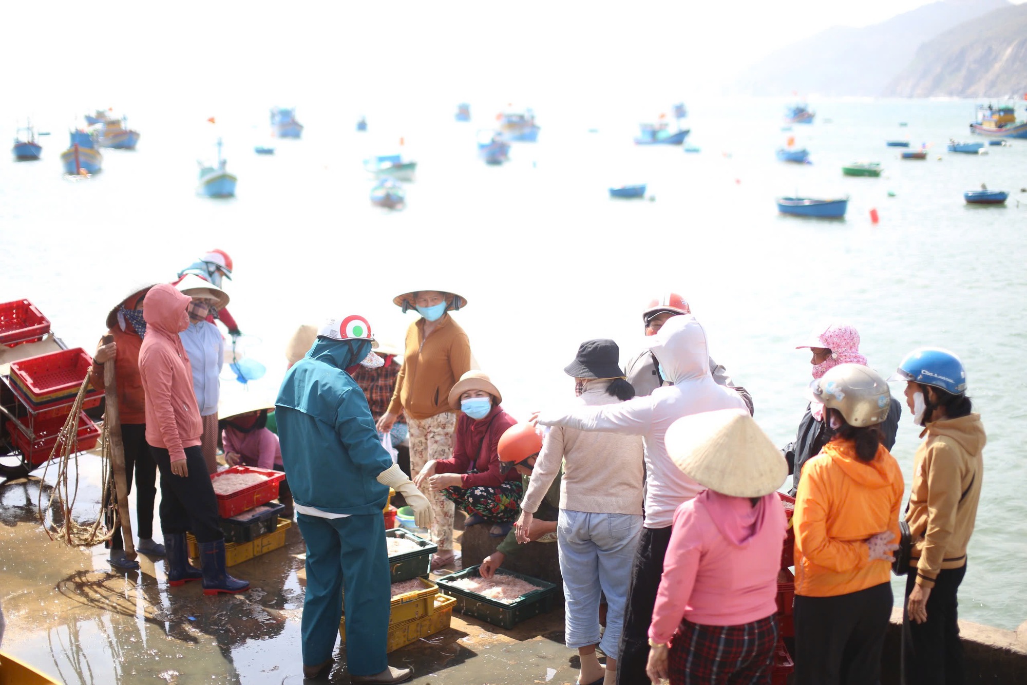 Vây lưới "trúng" mẻ cá cơm tươi roi rói, ngư dân vui vì có tiền, cười nói rôm rả, xôn xao cả làng- Ảnh 10.