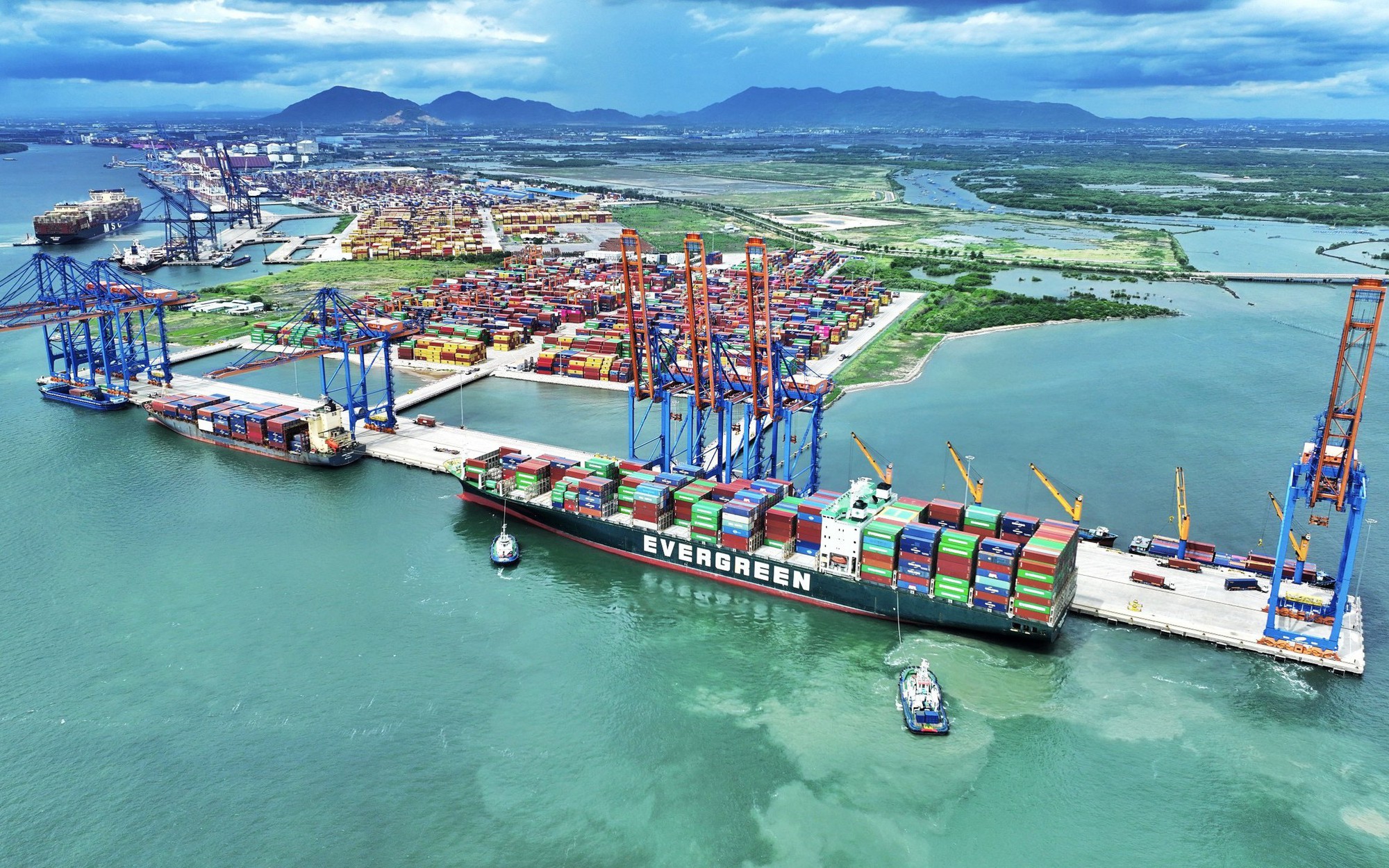 Bà Rịa - Vũng Tàu: 24 lãnh đạo xin nghỉ trước tuổi, Phó Giám đốc sở 53 tuổi cũng xin thôi - Ảnh 2.