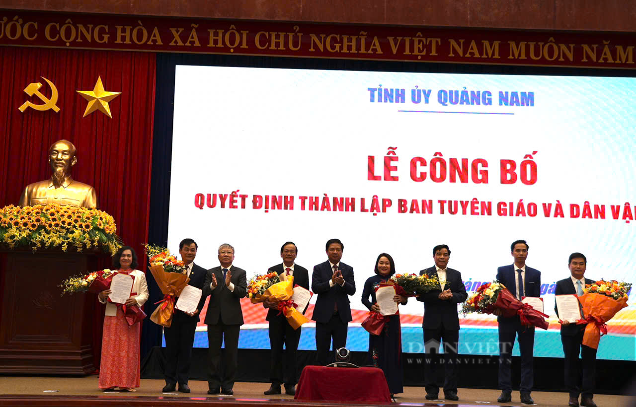 Tỉnh Quảng Nam có 443 người có nguyện vọng và đơn xin nghỉ hưu trước tuổi, nghỉ thôi việc- Ảnh 2.