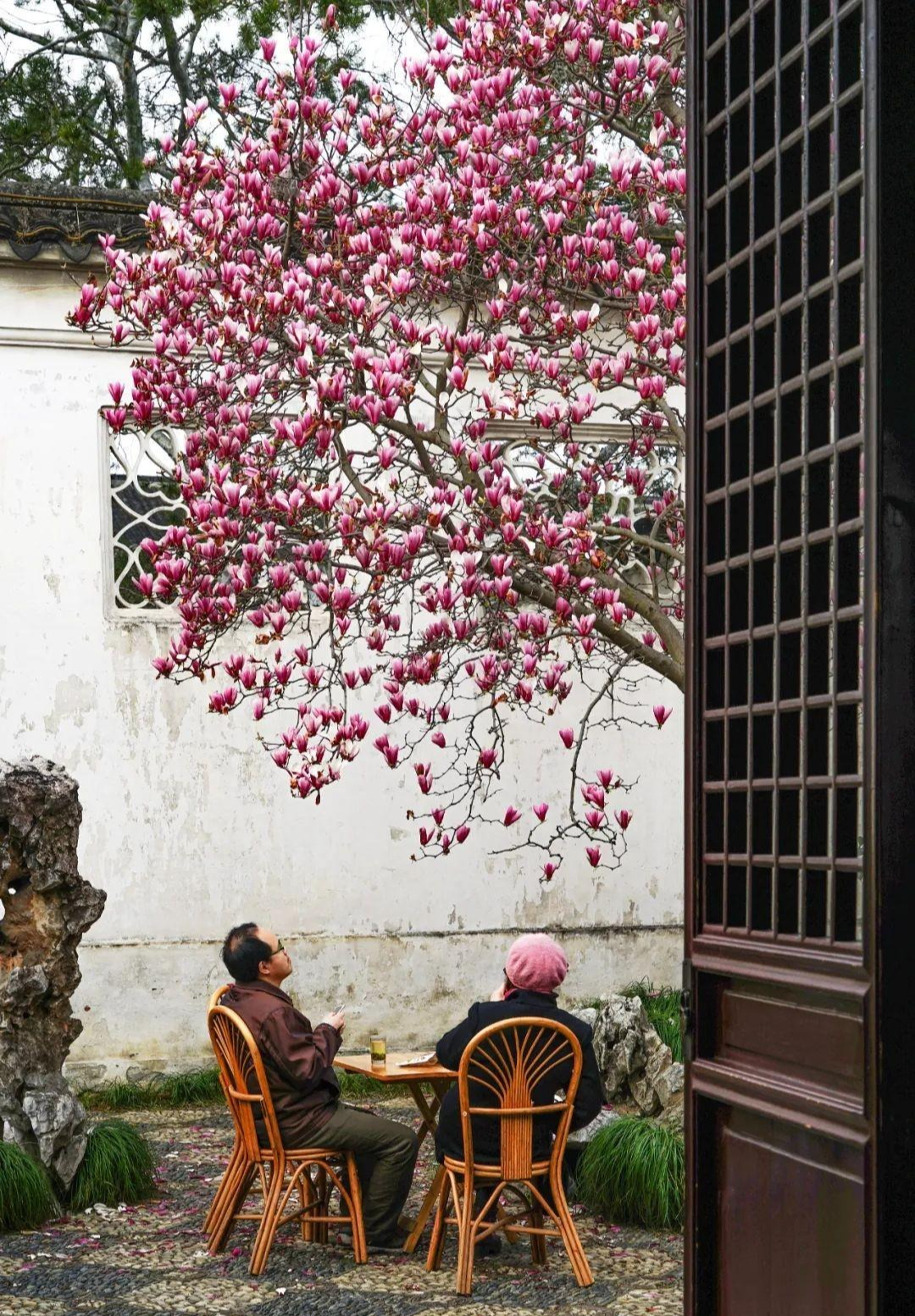 Cây cảnh may mắn, hoa thơm, lá đẹp, tràn trề sức sống, giúp thu hút tài lộc, cải thiện vận may gia đình - Ảnh 7.