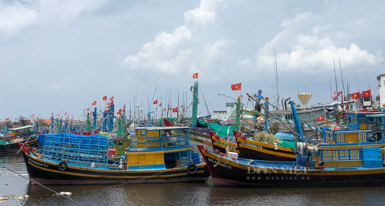 doanh nghiệp đề xuất đầu tư tàu chế biến hải sản trên vùng biển Bình Thuận- Ảnh 4.