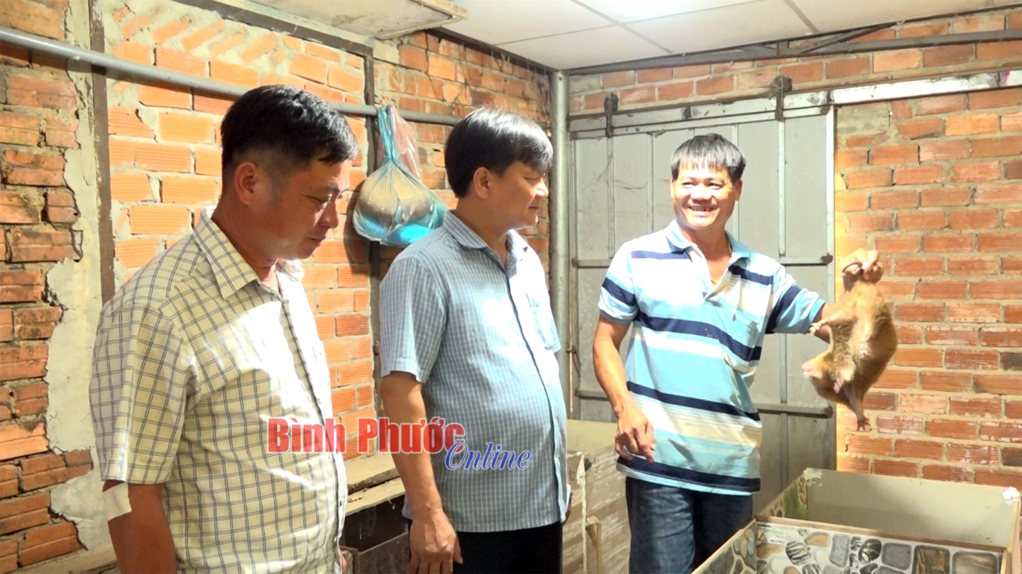 Triển vọng từ nuôi dúi - Ảnh 1.