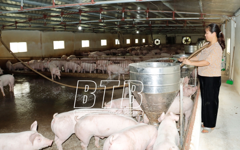 Một giống nho mới, trông như ngón tay, ngon như hàng nhập khẩu chính thức được phép trồng đại trà tại Ninh Thuận - Ảnh 6.