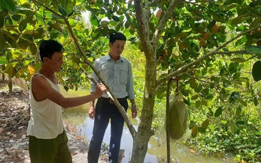 Lên núi trồng rừng gỗ quý, nuôi trâu, một nữ nông dân Hòa Bình khiến cả làng phục lăn - Ảnh 3.