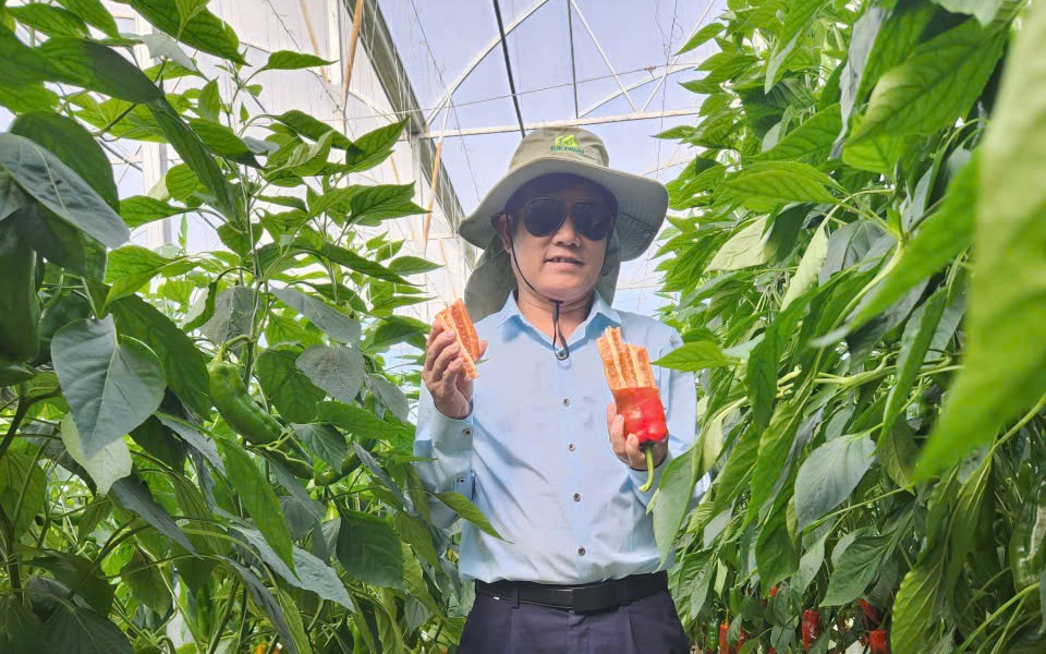 Một tỉnh phía Nam đồng bằng Sông Hồng hướng đến thành phố trực thuộc TƯ sau 10 năm nữa - Ảnh 7.