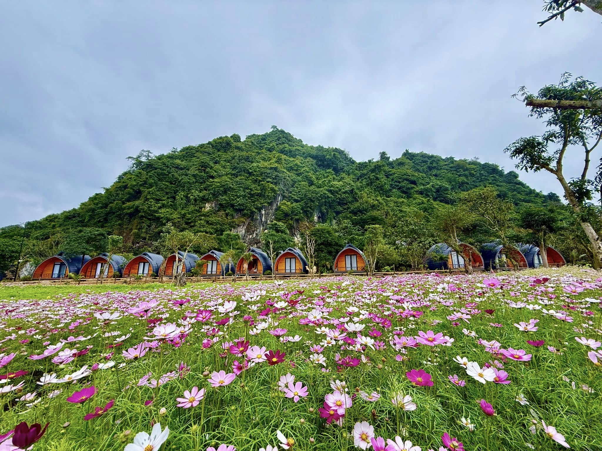 Quảng Bình: Biến đồi hoang, núi đá thành điểm du lịch đẹp như phim, hướng đến xây dựng OCOP du lịch - Ảnh 2.