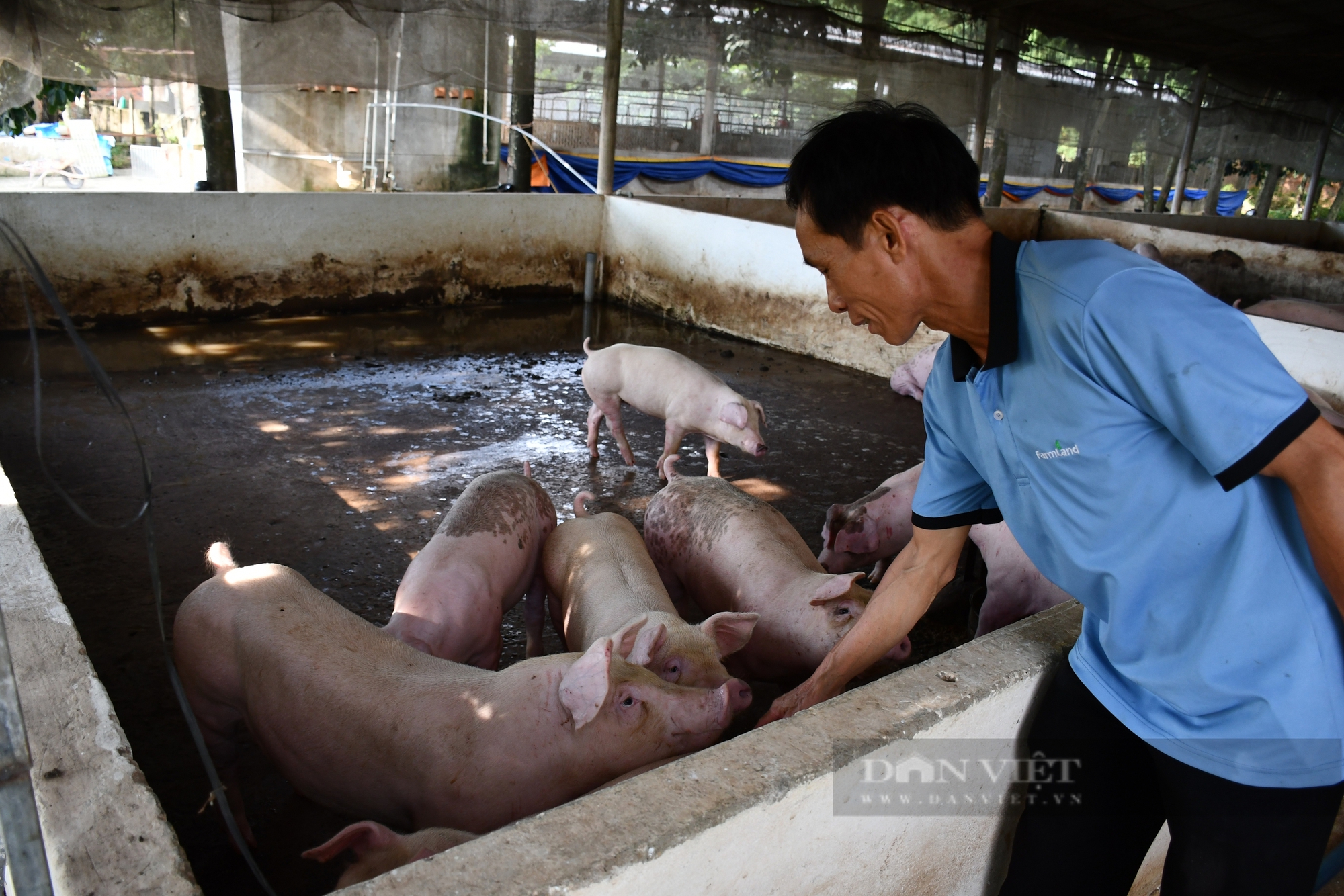 Anh Lâm Văn Giàng - Nông dân Việt Nam xuất sắc năm 2024: Bệ phóng cho người nông dân tiếp cận thời đại 4.0 - Ảnh 4.